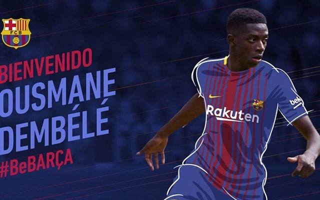 萨尔小腿肌 萨尔小腿肌