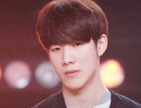 理性不是压 理性不是压